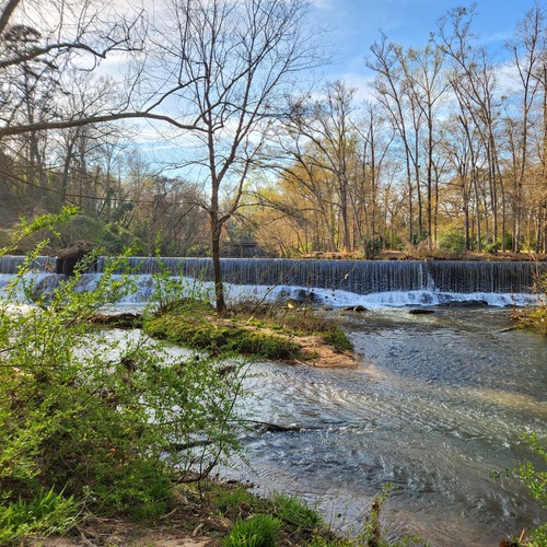 River Birch Trail