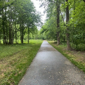 Do the Dan- Three Creeks TrailA community education campaign including a series of walks on various segments of the Daniel Morgan Trail System.

Join us for the second walk of our "Do The Dan" series on June 20th.Read More