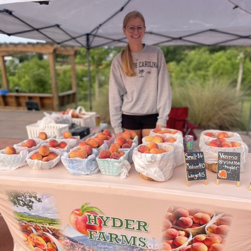 vendor application
