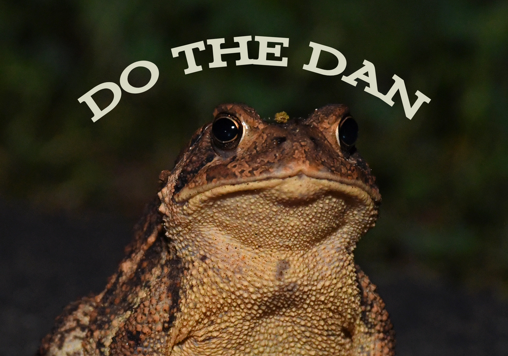 Do the DAN: Frog Walk II
