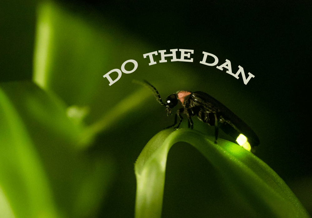 Do the DAN: Lightning Bug Walk & Talk