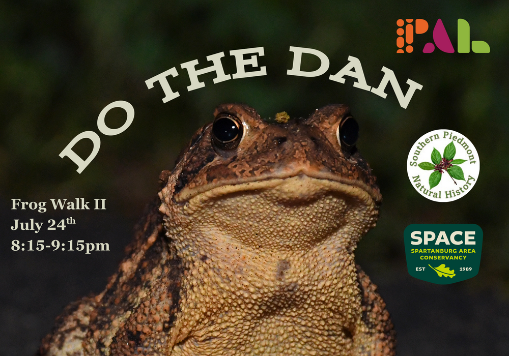 Do the DAN: Frog Walk II