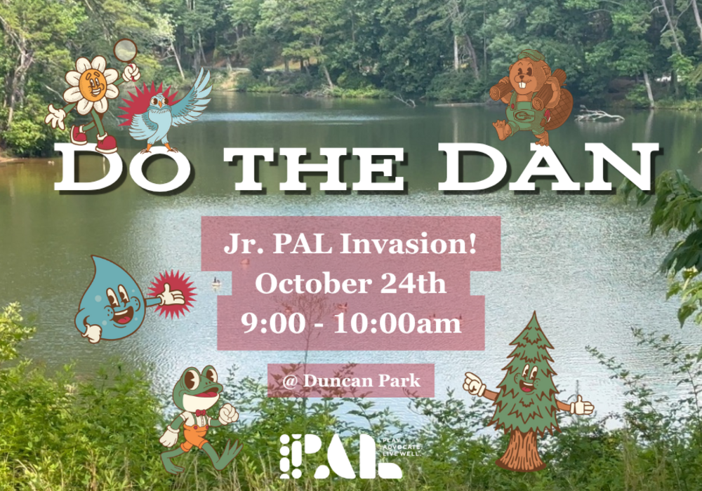 Do the DAN: Jr. PAL Invasion