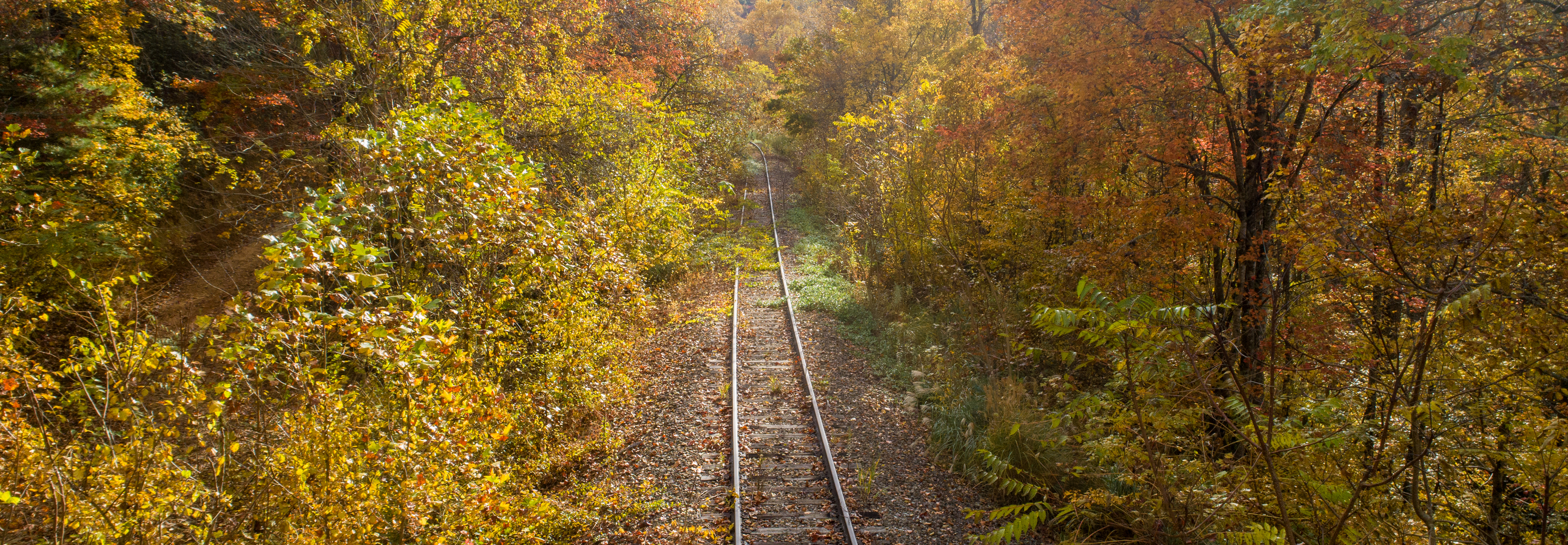 RFP: Saluda Grade Trail Rail Salvage and Track Removal