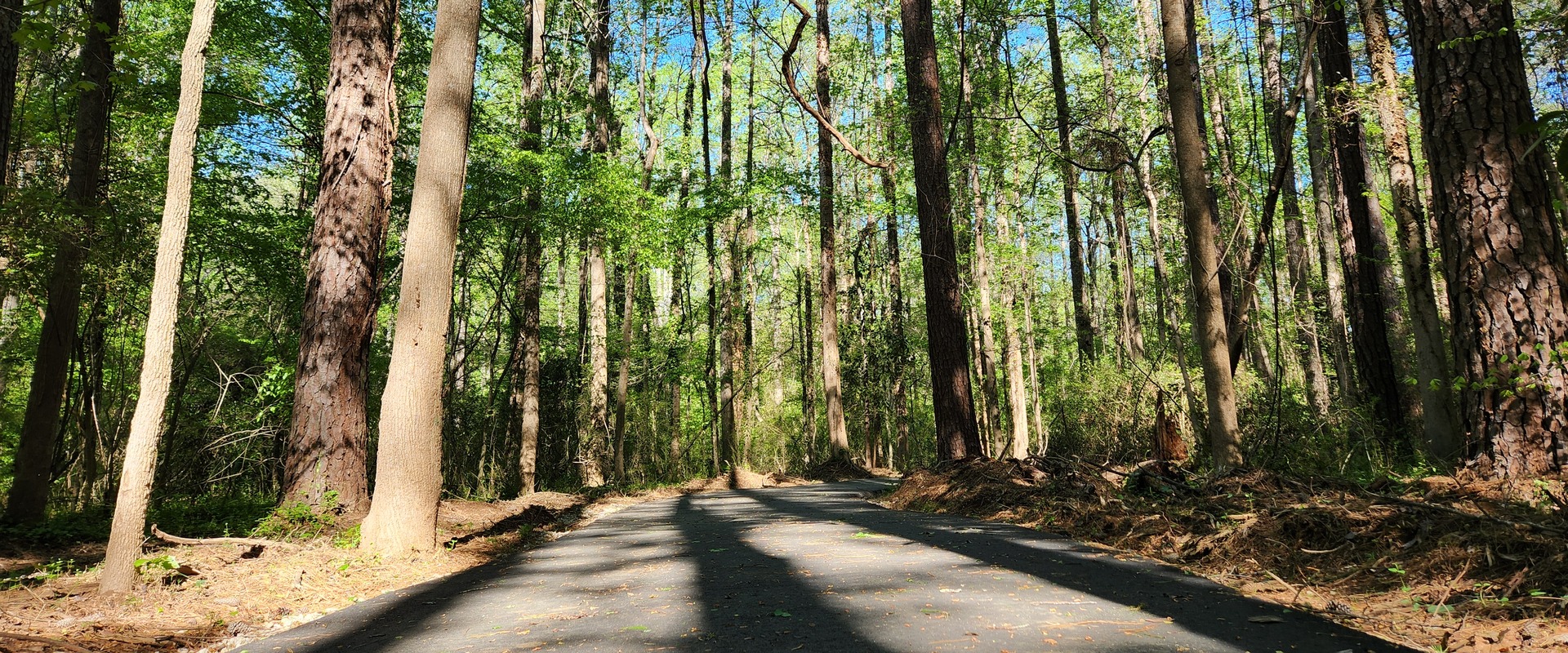 Wildflower Way 